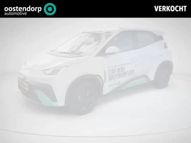 Foto van BYD DOLPHIN SURF