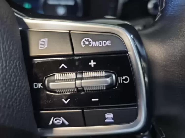 Foto van Kia Sorento