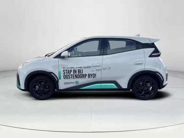 Foto van BYD DOLPHIN SURF