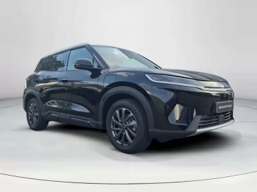 Foto van BYD ATTO 2