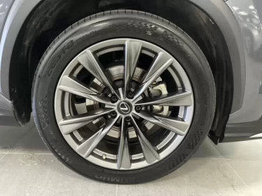 Foto van Lexus NX