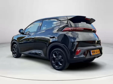 Foto van BYD DOLPHIN SURF