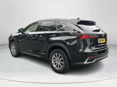 Foto van Lexus NX