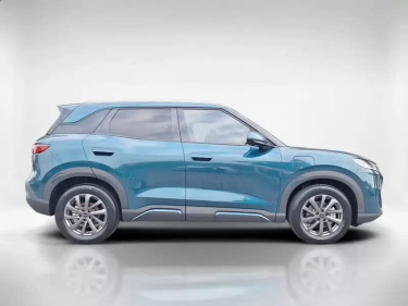 Foto van BYD ATTO 2