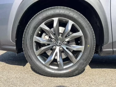 Foto van Lexus NX