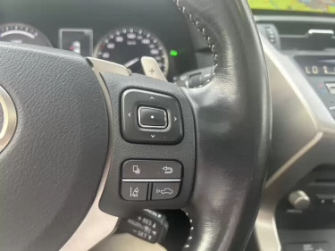 Foto van Lexus NX