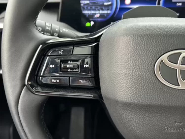 Foto van Toyota Urban Cruiser
