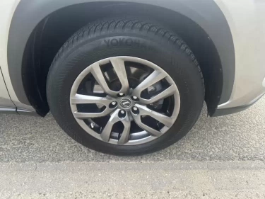 Foto van Lexus NX
