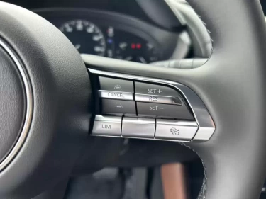 Foto van Mazda MX-30