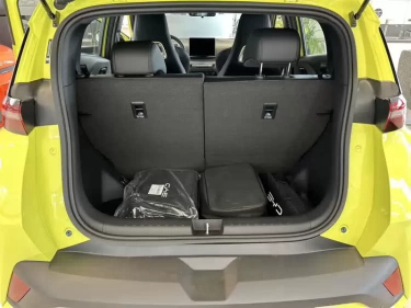 Foto van BYD DOLPHIN SURF