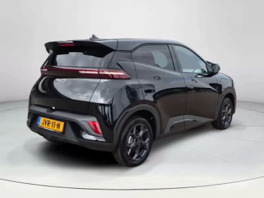Foto van BYD DOLPHIN SURF