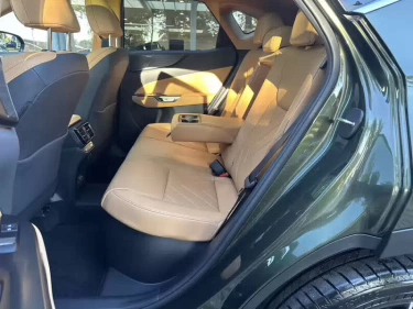 Foto van Lexus NX