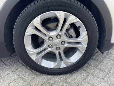 Foto van Opel Ampera-e