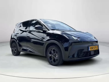 Foto van BYD DOLPHIN SURF