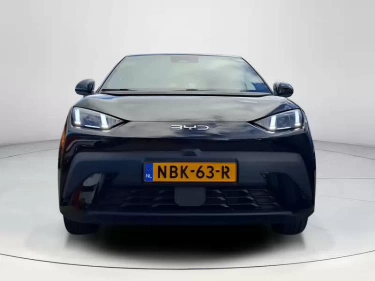 Foto van BYD DOLPHIN SURF