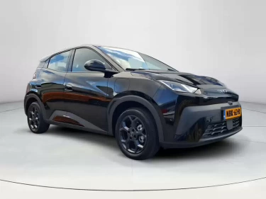 Foto van BYD DOLPHIN SURF