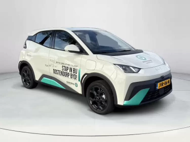 Foto van BYD DOLPHIN SURF