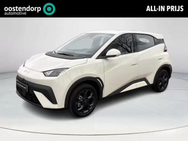 Foto van BYD DOLPHIN SURF