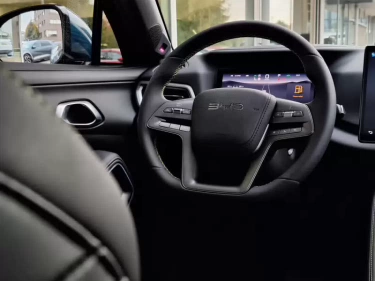 Foto van BYD ATTO 2