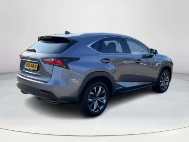Foto van Lexus NX