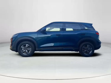 Foto van BYD ATTO 2