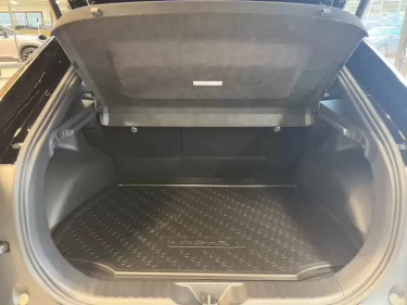 Foto van Toyota C-HR+