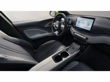 Foto van BYD Dolphin Surf
