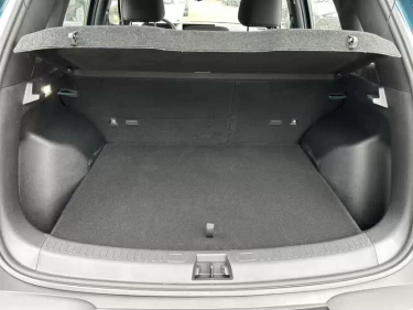 Foto van BYD ATTO 2