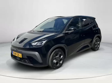 Foto van BYD DOLPHIN SURF