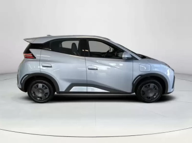 Foto van BYD DOLPHIN SURF