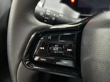 Foto van Suzuki e VITARA