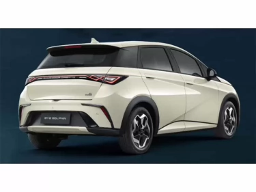 Foto van BYD DOLPHIN