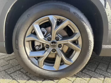Foto van BYD ATTO 2