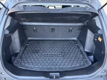 Foto van Suzuki S-Cross