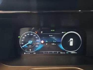 Foto van Kia Sorento