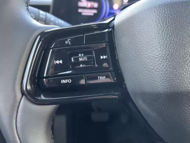 Foto van Toyota Urban Cruiser