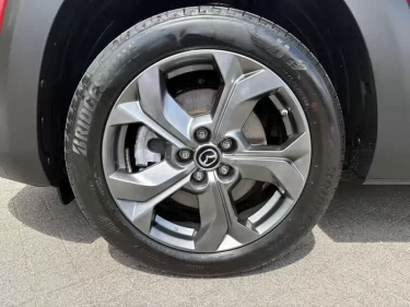 Foto van Mazda MX-30