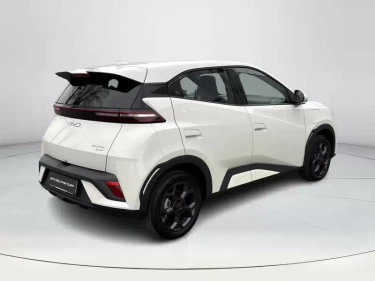 Foto van BYD DOLPHIN SURF