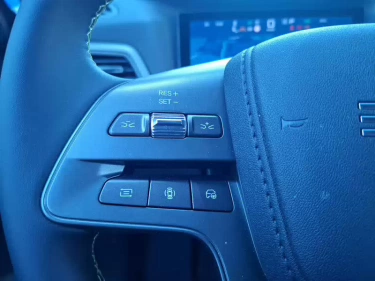 Foto van BYD ATTO 2