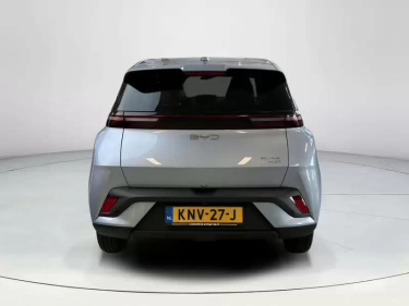 Foto van BYD DOLPHIN SURF