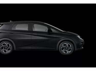 Foto van BYD DOLPHIN