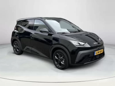 Foto van BYD DOLPHIN SURF