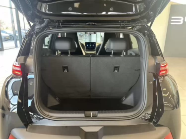 Foto van BYD DOLPHIN SURF