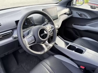 Foto van BYD DOLPHIN SURF