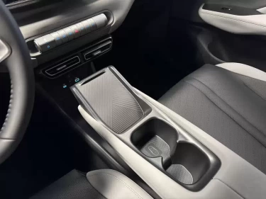 Foto van BYD DOLPHIN SURF