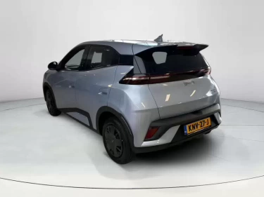 Foto van BYD DOLPHIN SURF