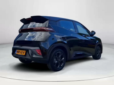 Foto van BYD DOLPHIN SURF