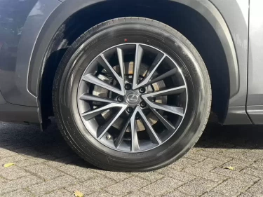 Foto van Lexus NX