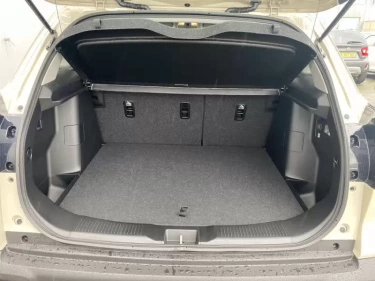 Foto van Suzuki S-Cross