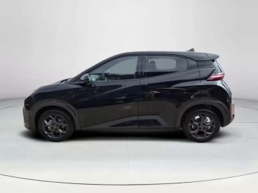 Foto van BYD DOLPHIN SURF